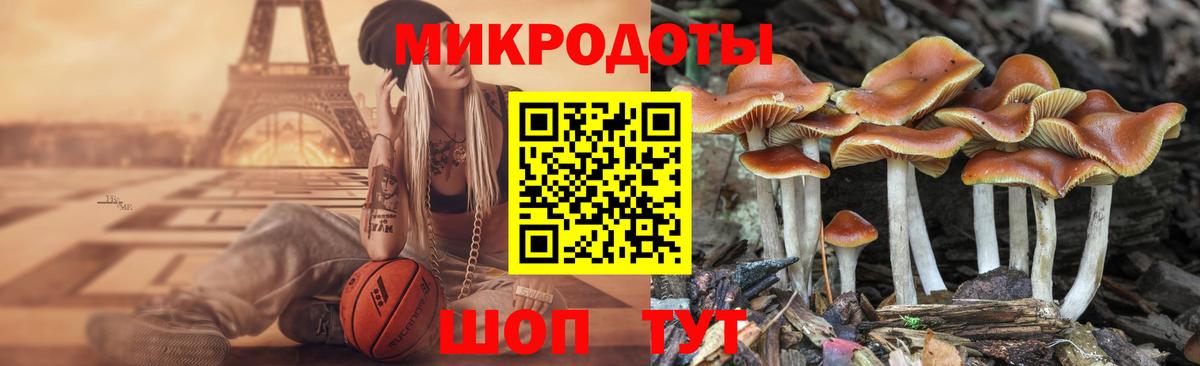 Галлюциногенные грибы MAGIC MUSHROOMS  как найти   Галлюциногенные грибы мицелий  Воронеж  Вход с VPN 
