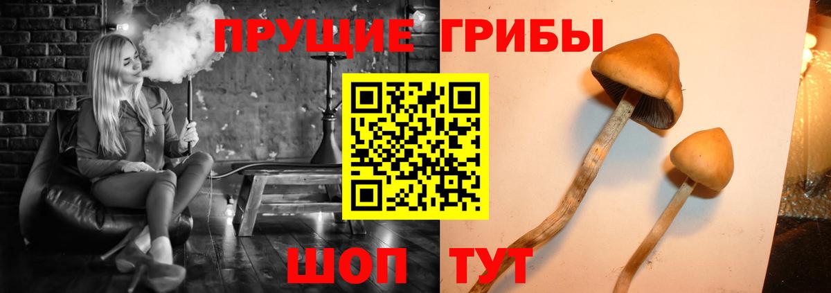 Псилоцибиновые грибы GOLDEN TEACHER Воронеж